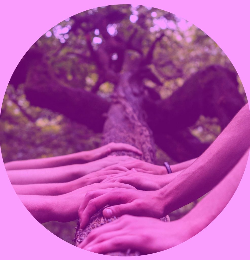 Vielfältige Hände unterstützen gemeinsam einen Baum – Symbol für CSR-Engagement, Teamarbeit, Vielfalt und gemeinsames Wachstum in New Leadership und digitaler Transformation.