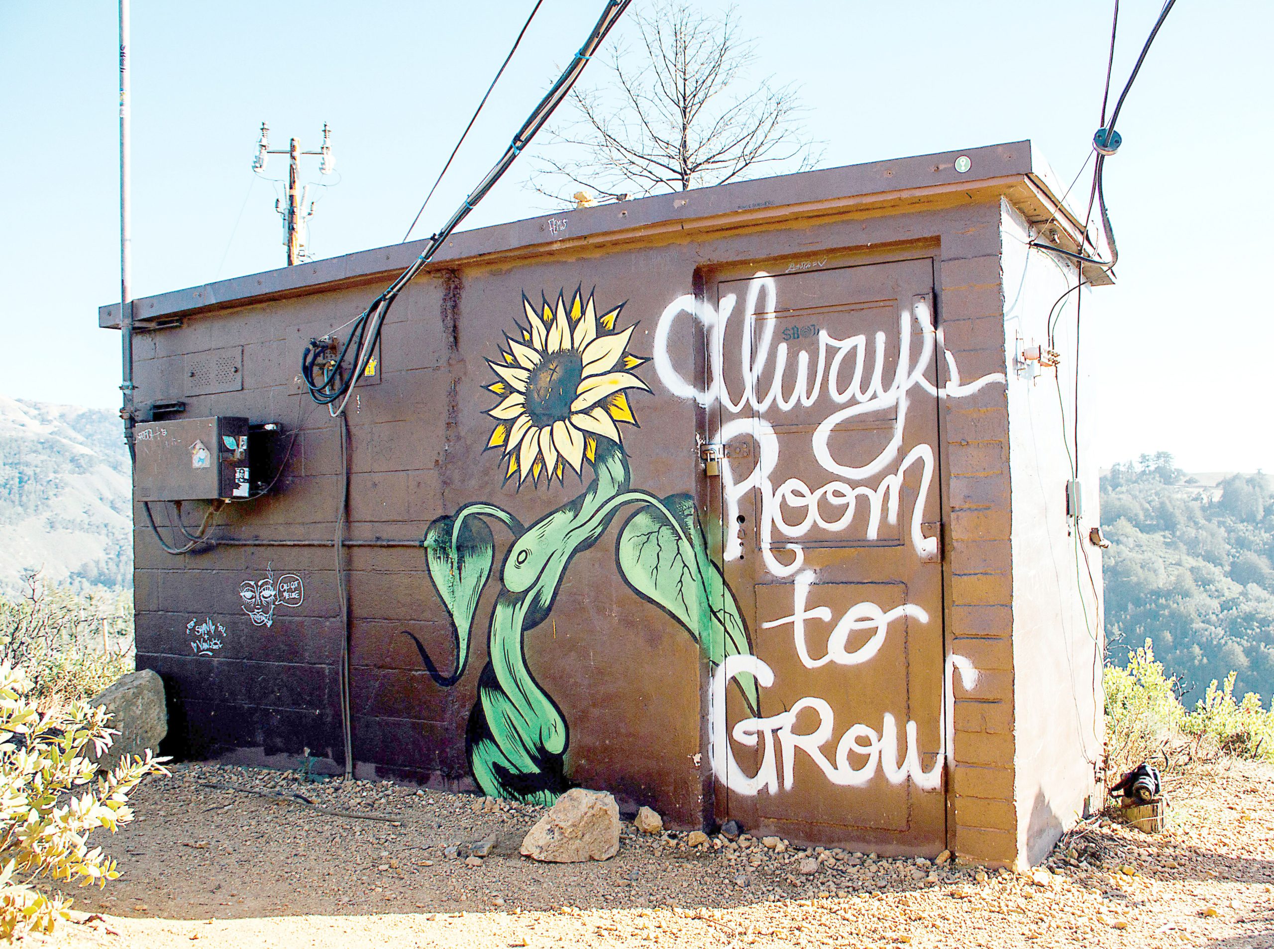 Hütte in karger Landschaft mit darauf gemalter Sonnenblume und 'always room to grow' Spruch, unterstreicht die Bedeutung von Veränderung und Lernkultur.